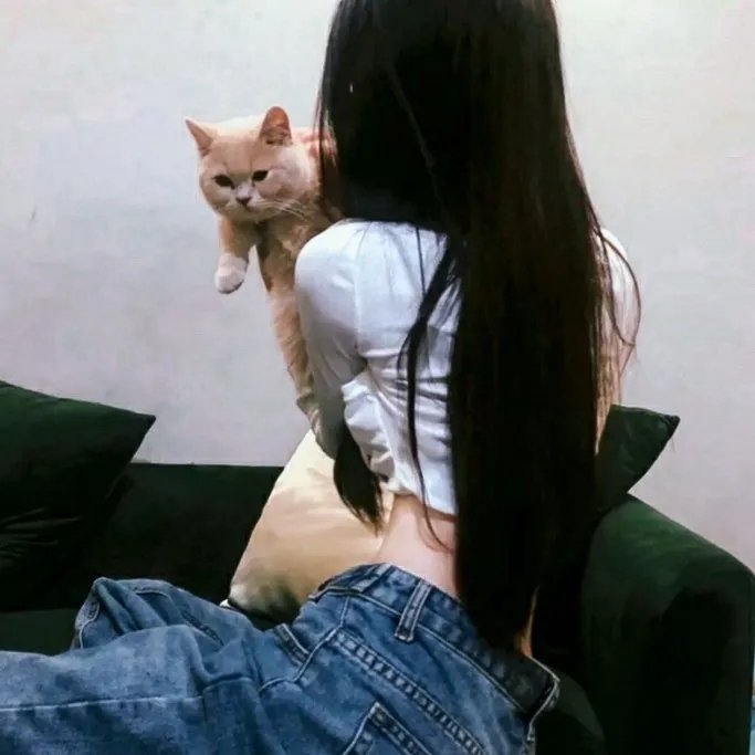 钻石王牌